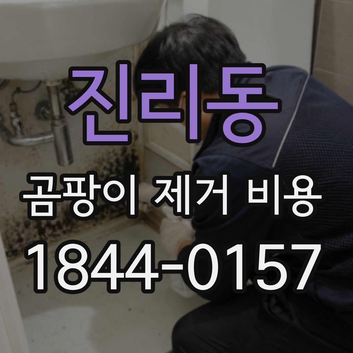 진리동 곰팡이 제거 비용