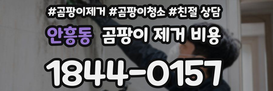 안흥동 곰팡이 제거 비용