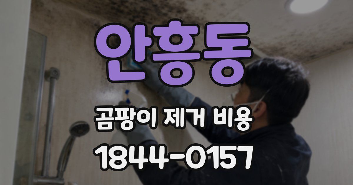 안흥동 곰팡이 제거 비용