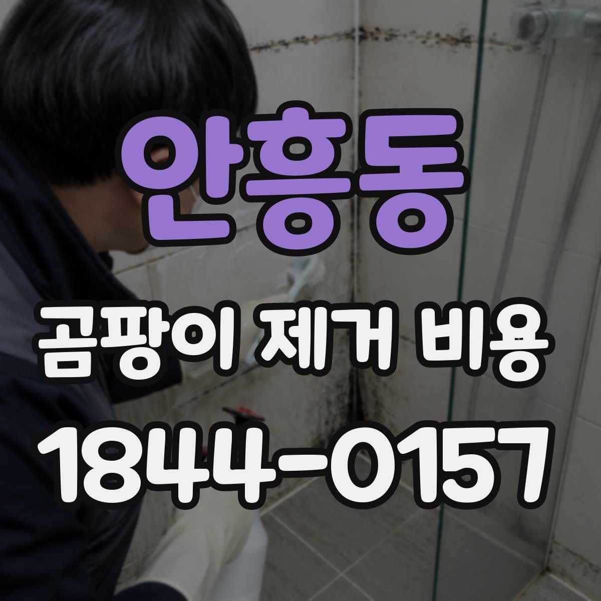 안흥동 곰팡이 제거 비용