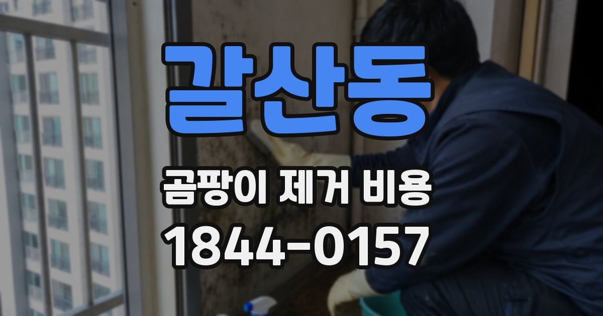 갈산동 곰팡이 제거 비용