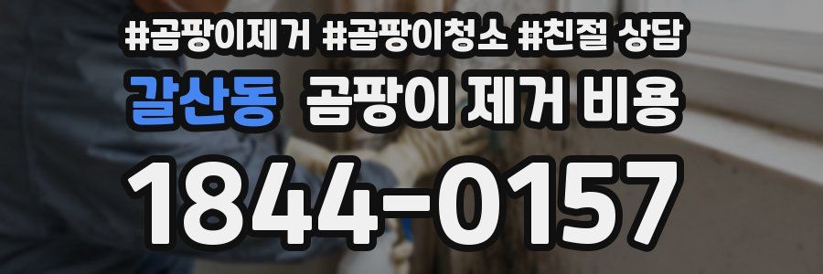 갈산동 곰팡이 제거 비용