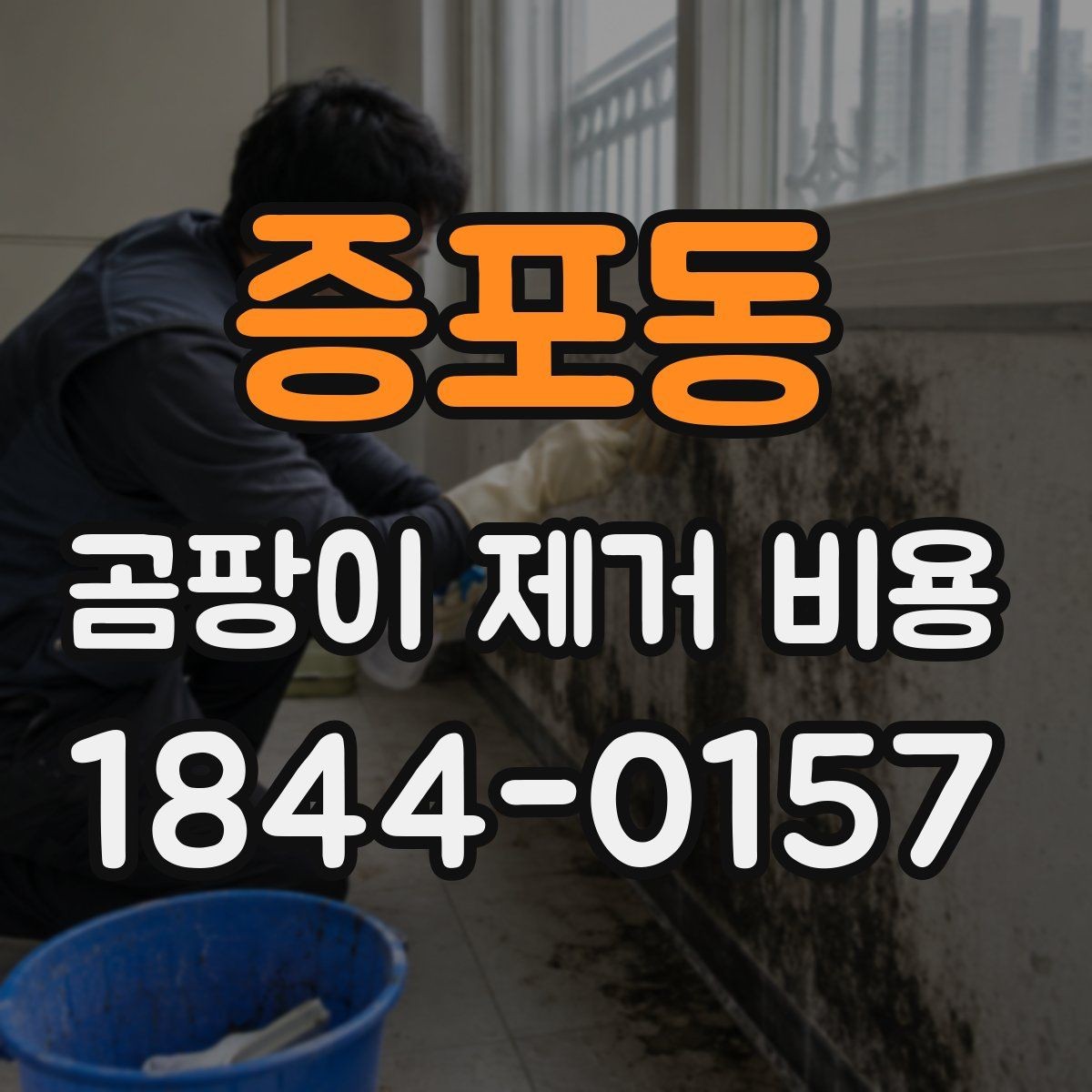 증포동 곰팡이 제거 비용 이해할 때 확인할 점