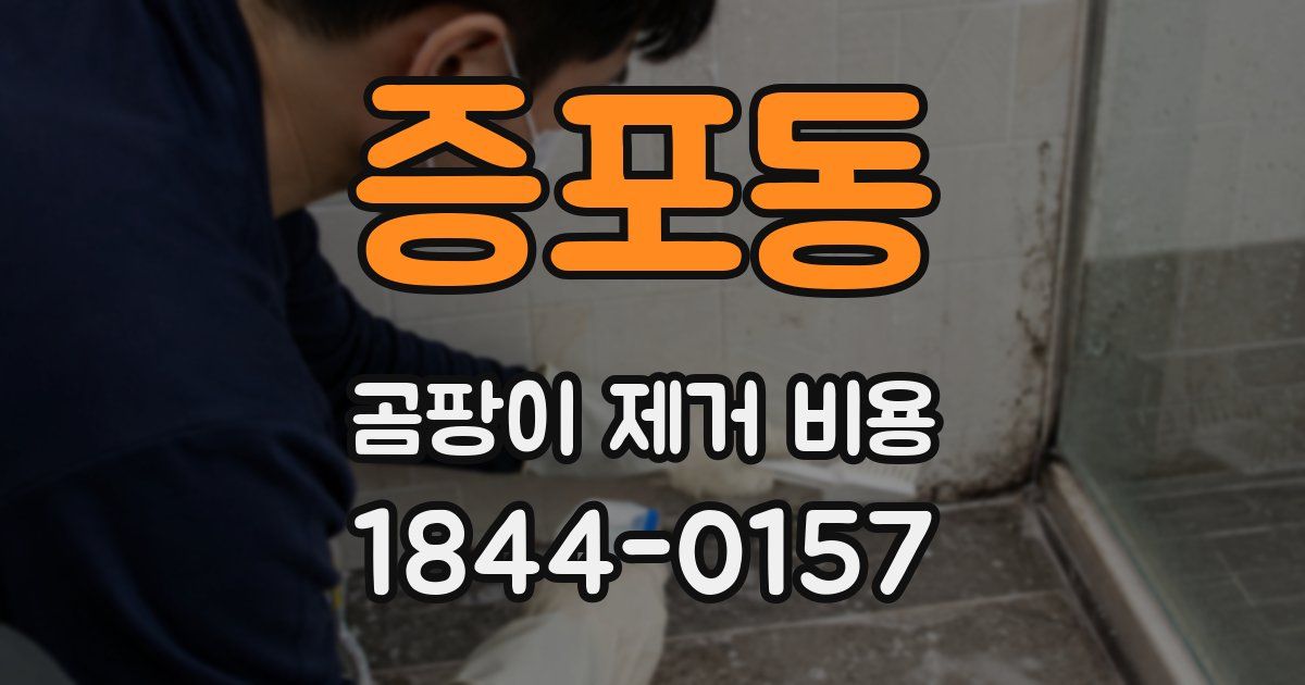 증포동 곰팡이 제거 비용