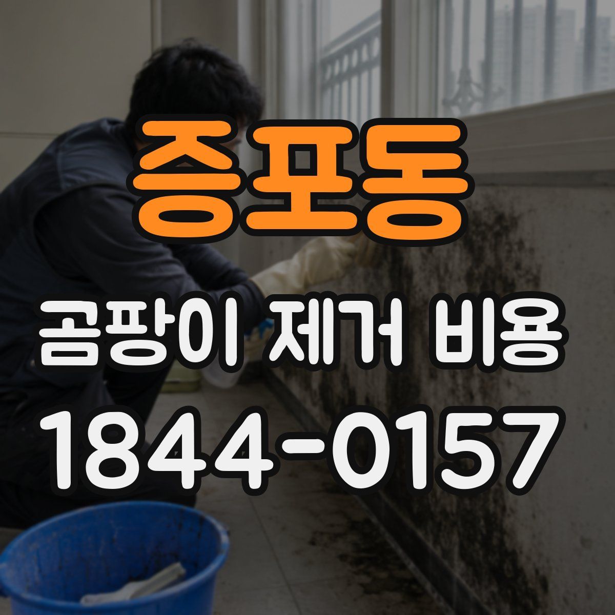 증포동 곰팡이 제거 비용