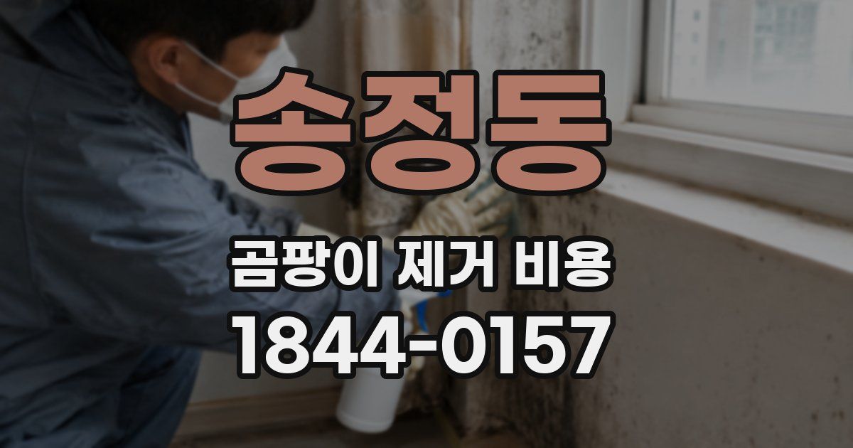 송정동 곰팡이 제거 비용