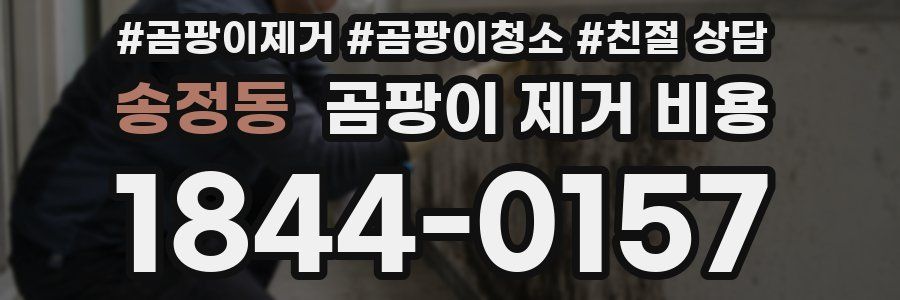송정동 곰팡이 제거 비용