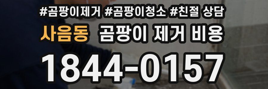 사음동 곰팡이 제거 비용