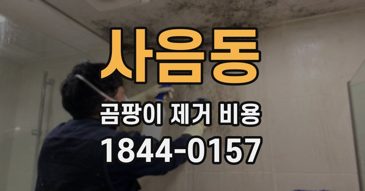 사음동 곰팡이 제거 비용