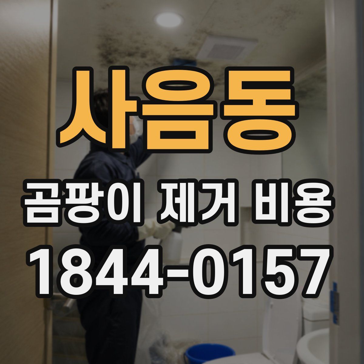 사음동 곰팡이 제거 비용