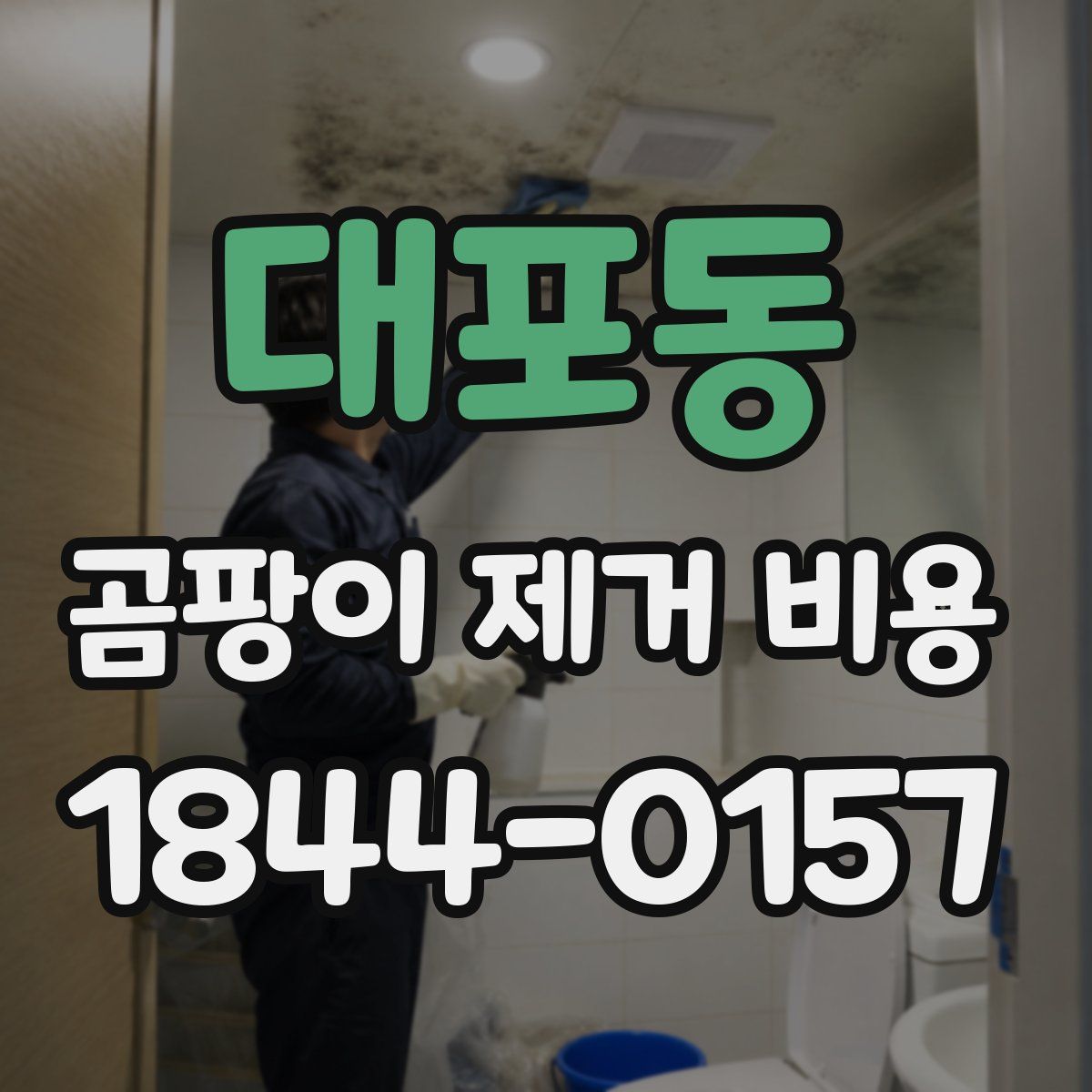 대포동 곰팡이 제거 비용