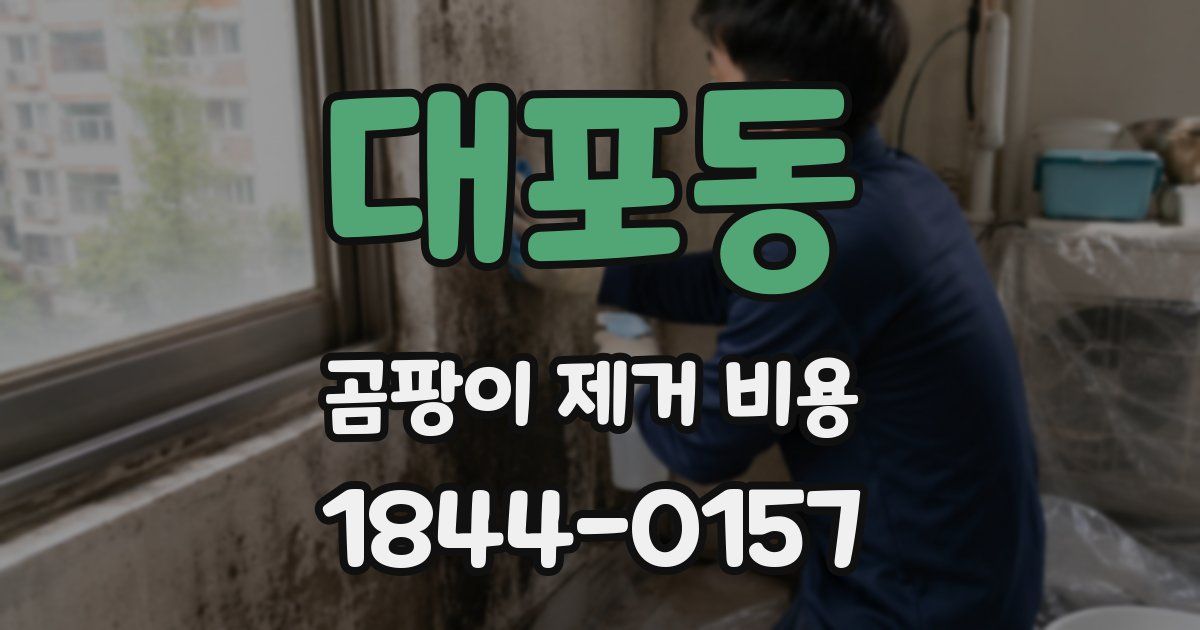 대포동 곰팡이 제거 비용