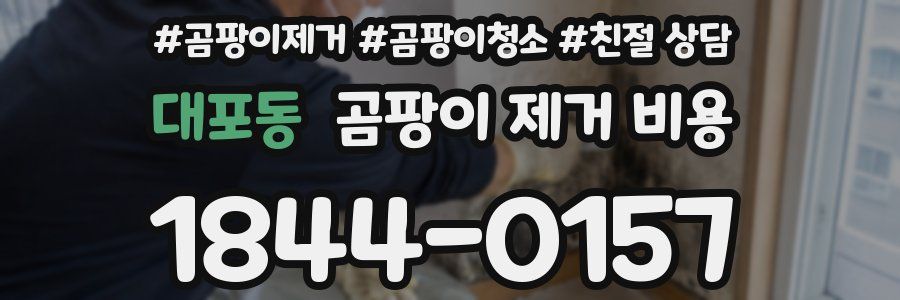 대포동 곰팡이 제거 비용
