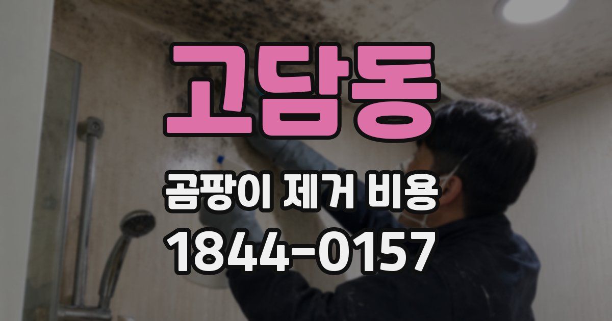 고담동 곰팡이 제거 비용
