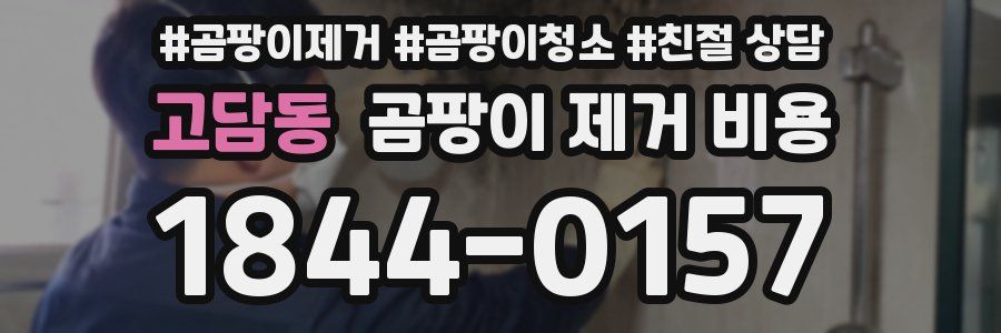 고담동 곰팡이 제거 비용