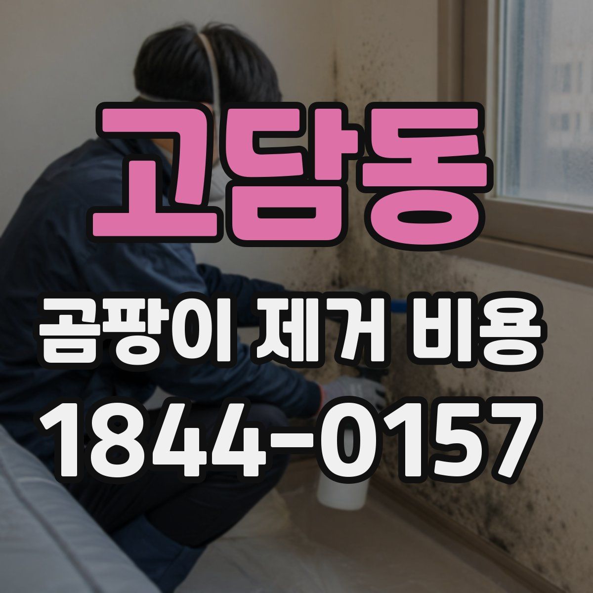 고담동 곰팡이 제거 비용