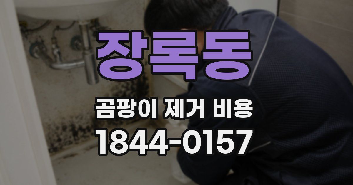장록동 곰팡이 제거 비용