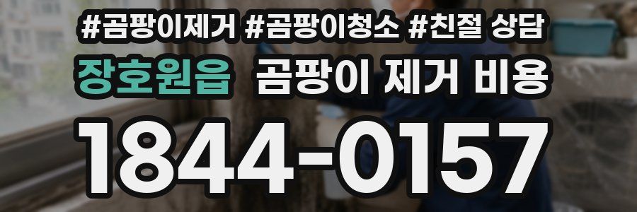장호원읍 곰팡이 제거 비용