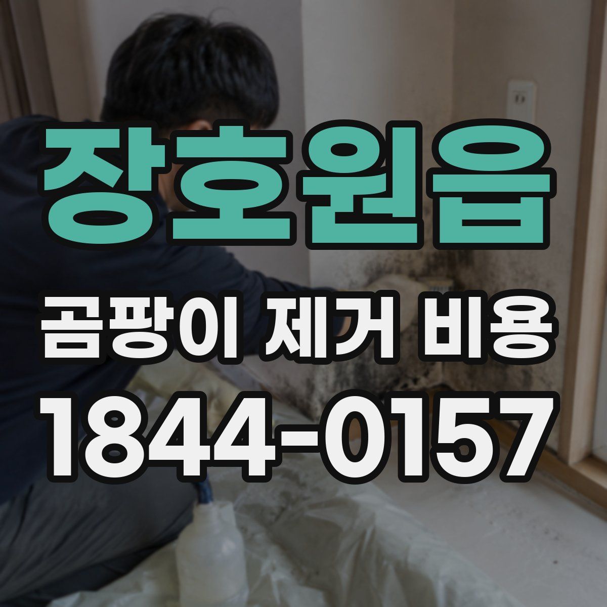 장호원읍 곰팡이 제거 비용