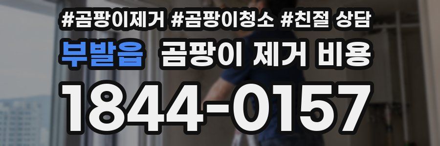 부발읍 곰팡이 제거 비용