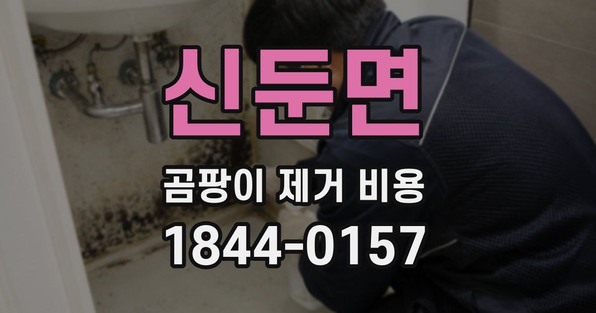 신둔면 곰팡이 제거 비용
