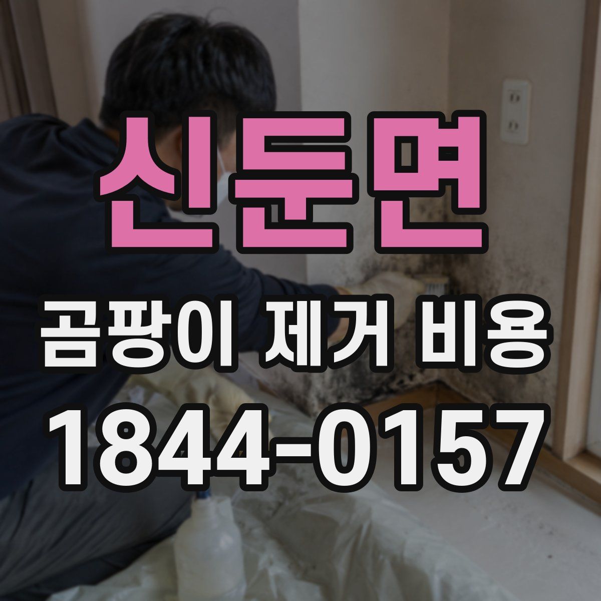 신둔면 곰팡이 제거 비용