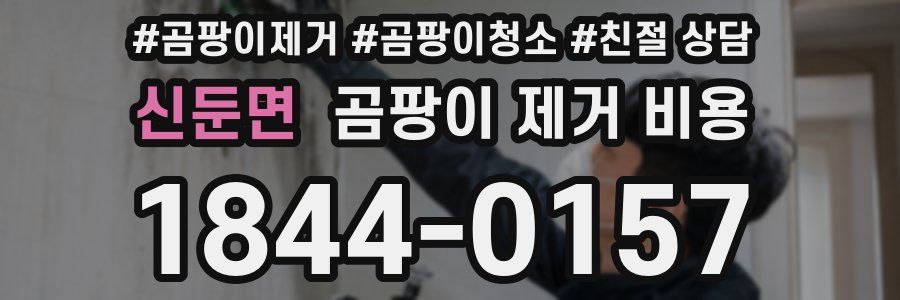 신둔면 곰팡이 제거 비용