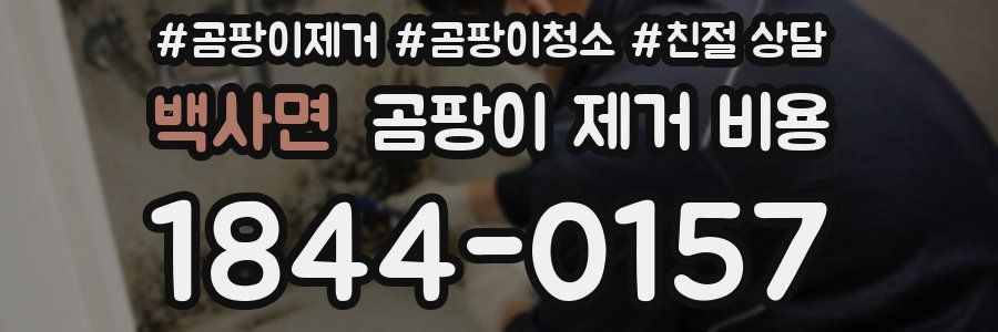 백사면 곰팡이 제거 비용