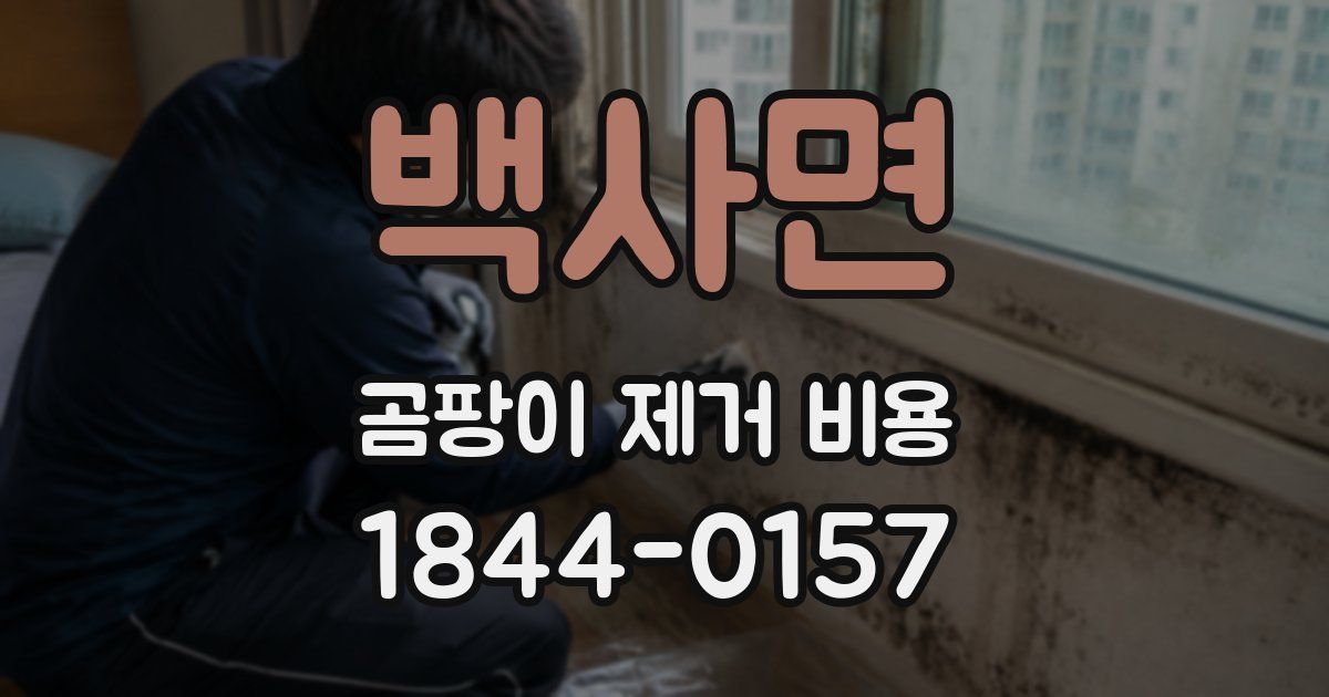 백사면 곰팡이 제거 비용