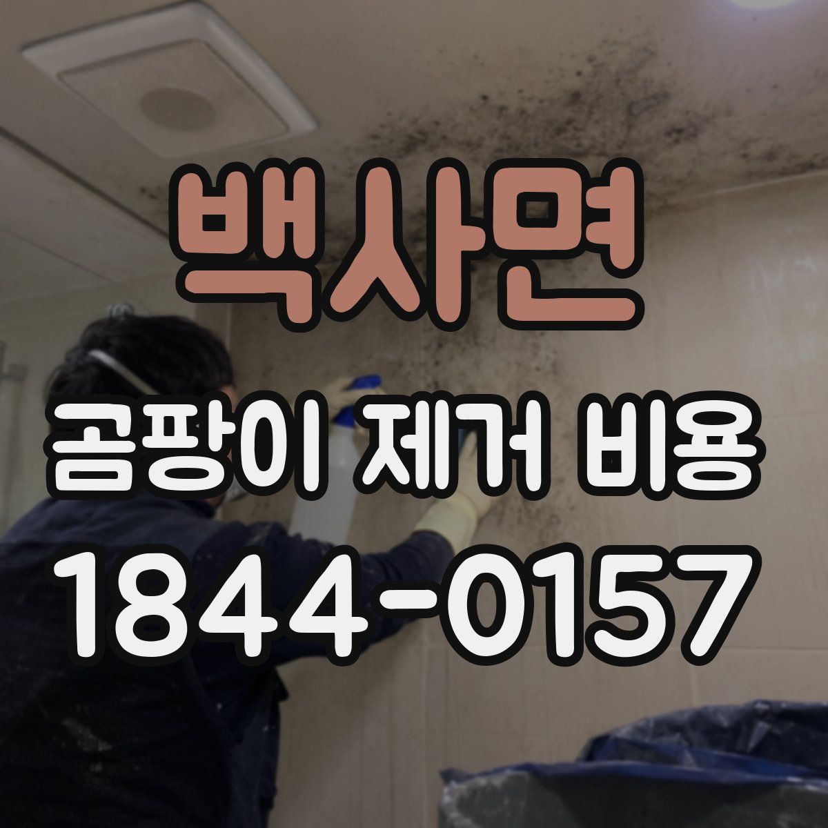 백사면 곰팡이 제거 비용