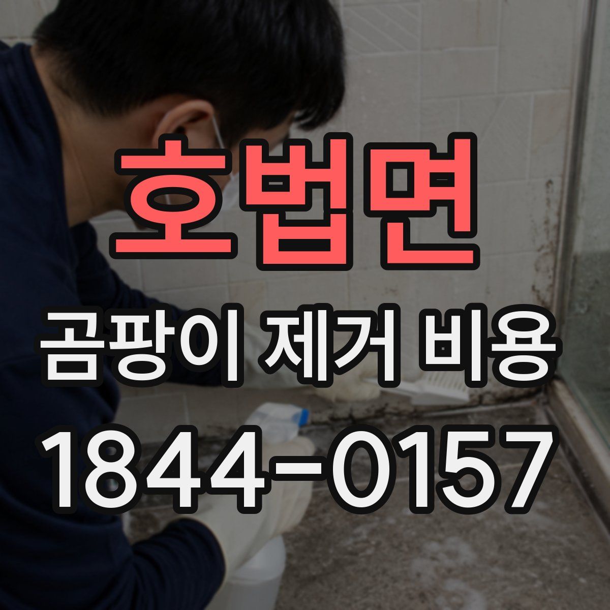 호법면 곰팡이 제거 비용