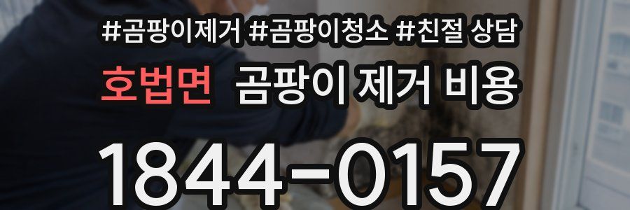 호법면 곰팡이 제거 비용