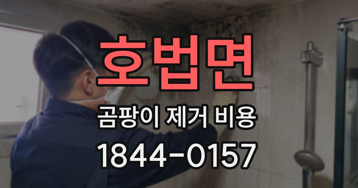 호법면 곰팡이 제거 비용