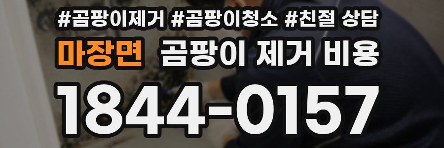마장면 곰팡이 제거 비용