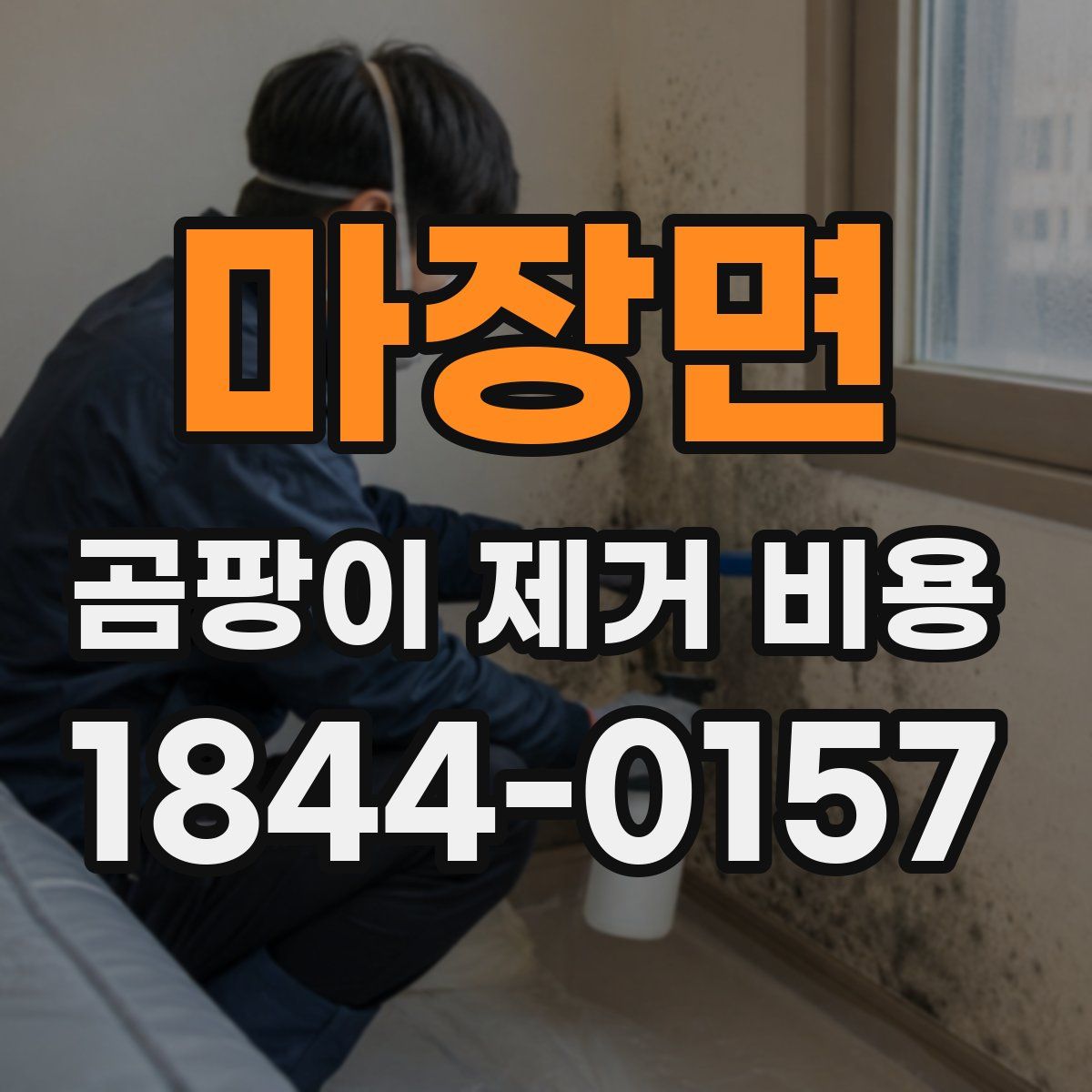 마장면 곰팡이 제거 비용