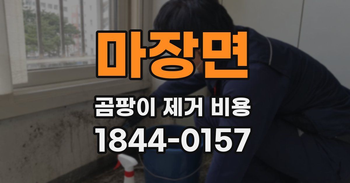 마장면 곰팡이 제거 비용