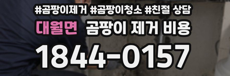 대월면 곰팡이 제거 비용