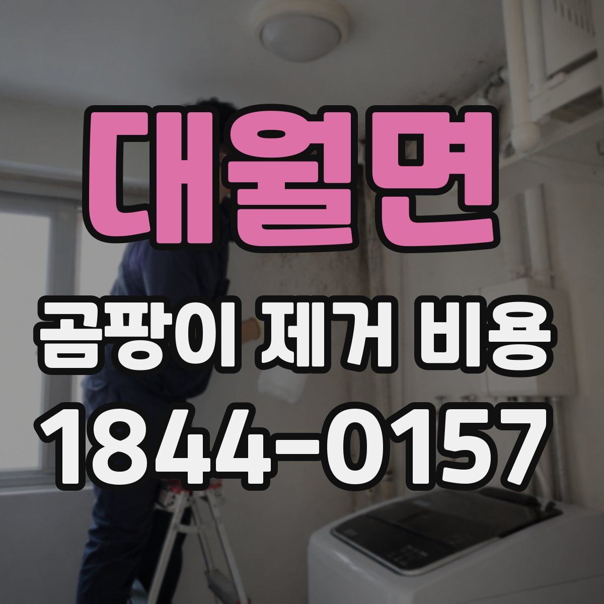 대월면 곰팡이 제거 비용