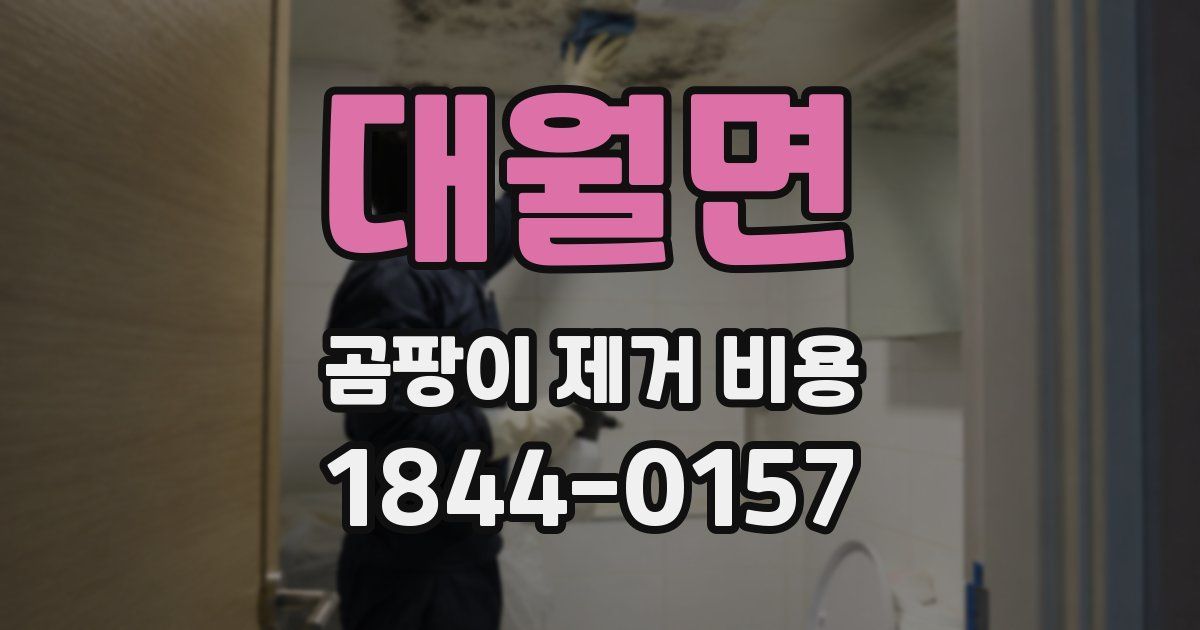 대월면 곰팡이 제거 비용