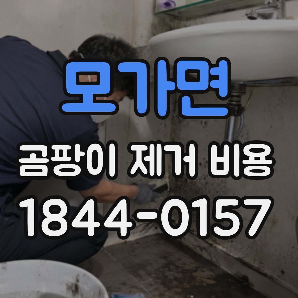 모가면 곰팡이 제거 비용