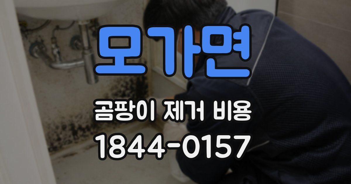 모가면 곰팡이 제거 비용
