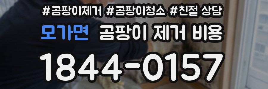 모가면 곰팡이 제거 비용