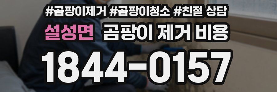 설성면 곰팡이 제거 비용