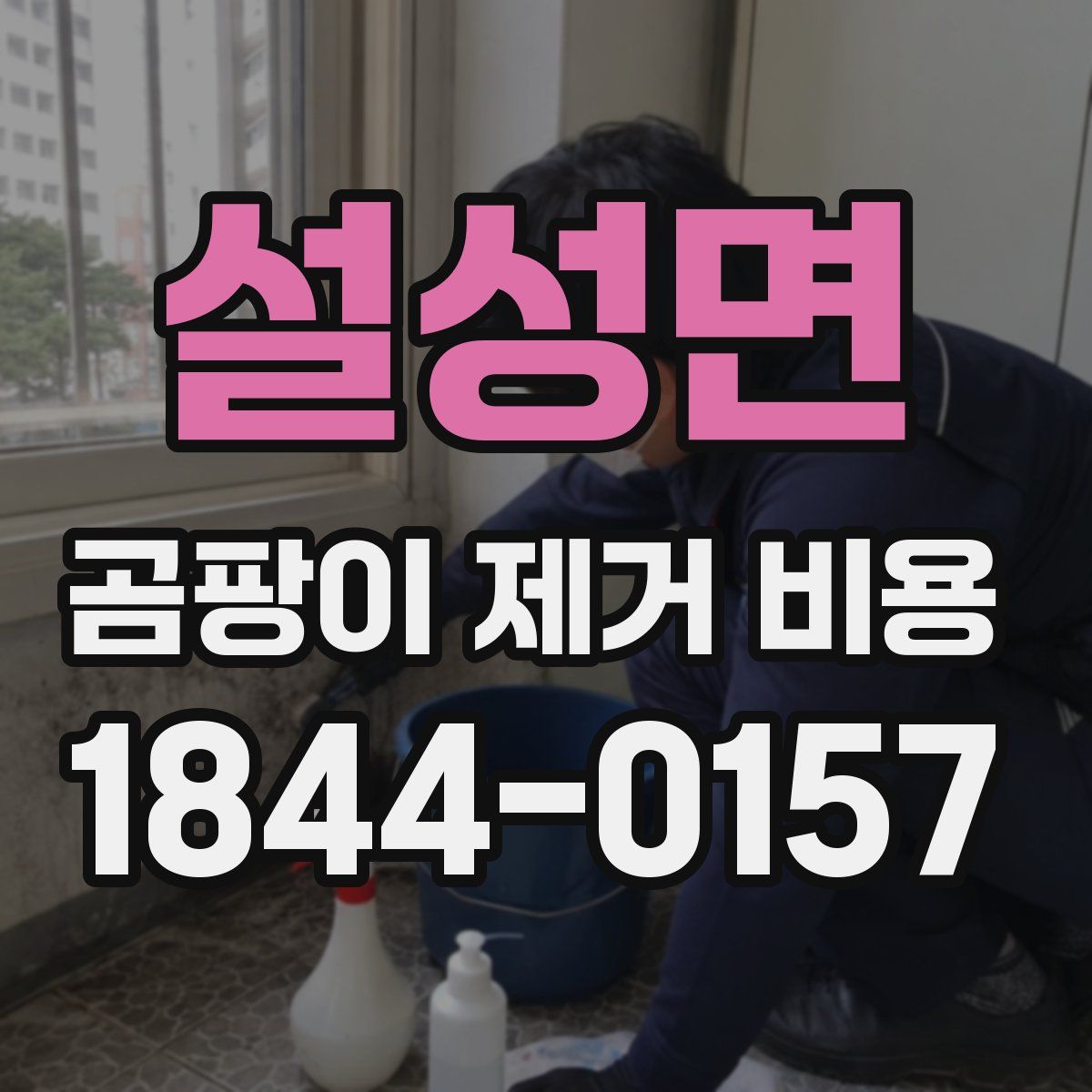 설성면 곰팡이 제거 비용