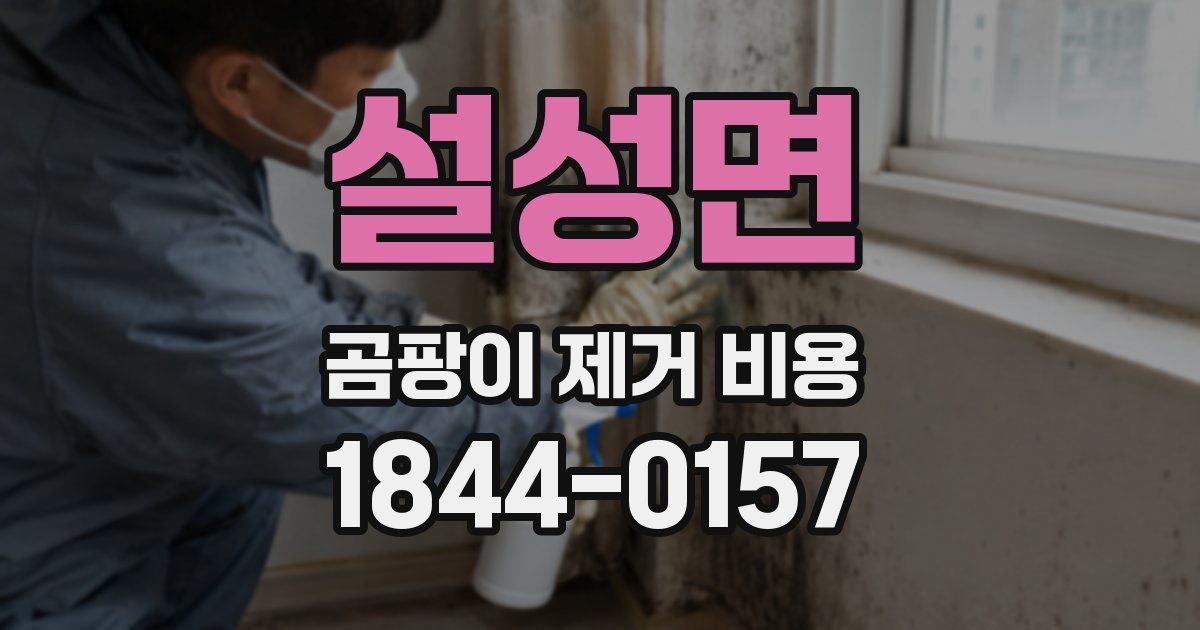 설성면 곰팡이 제거 비용