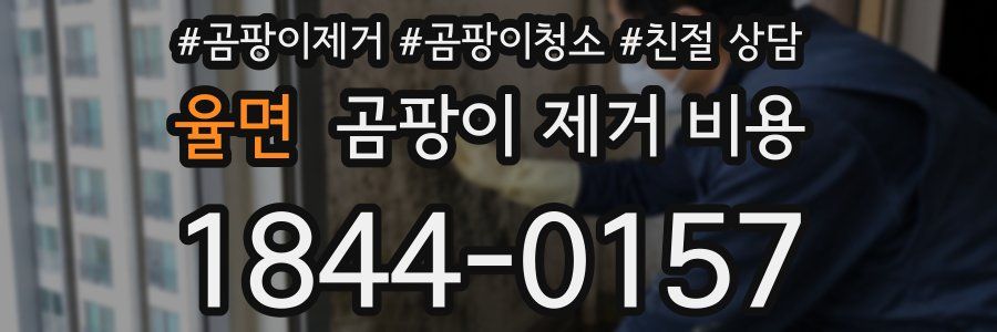 율면 곰팡이 제거 비용