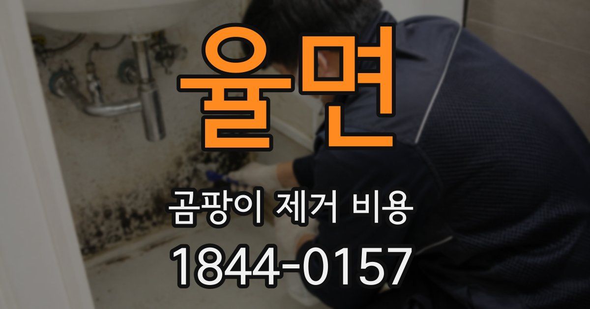 율면 곰팡이 제거 비용