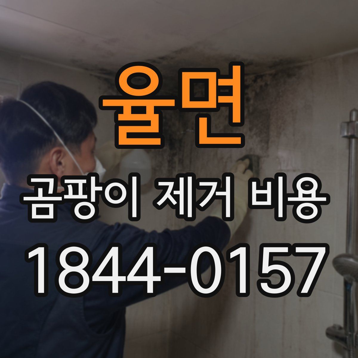 율면 곰팡이 제거 비용