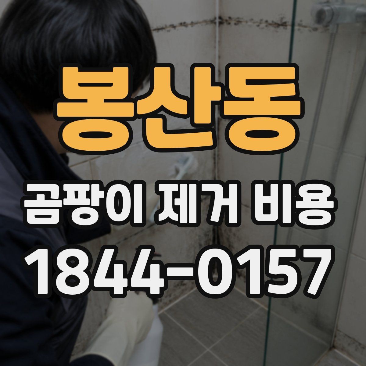 봉산동 곰팡이 제거 비용 산정에 자주 포함되는 보수 항목