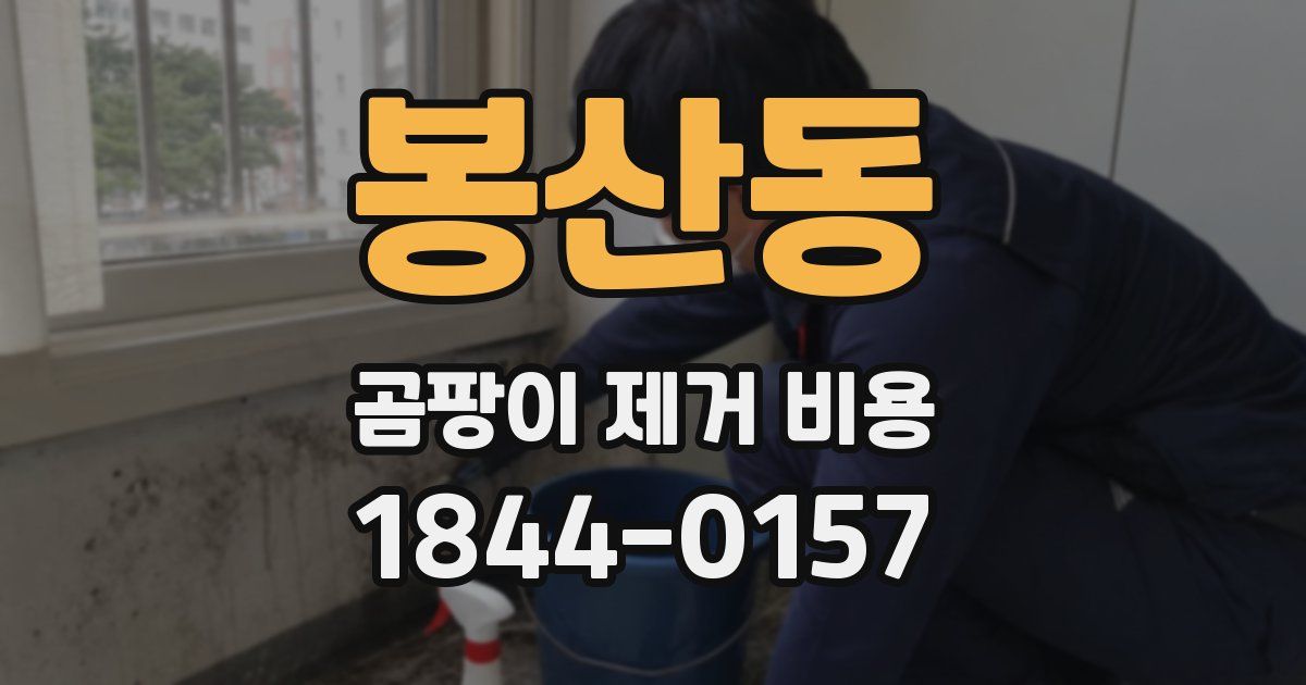 봉산동 곰팡이 제거 비용